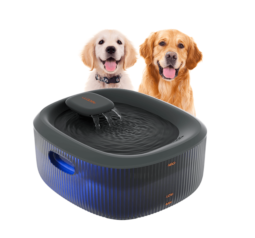 WOPET CA10: A Smart WiFi Automatic Pet Feeder for Modern Pet Owners